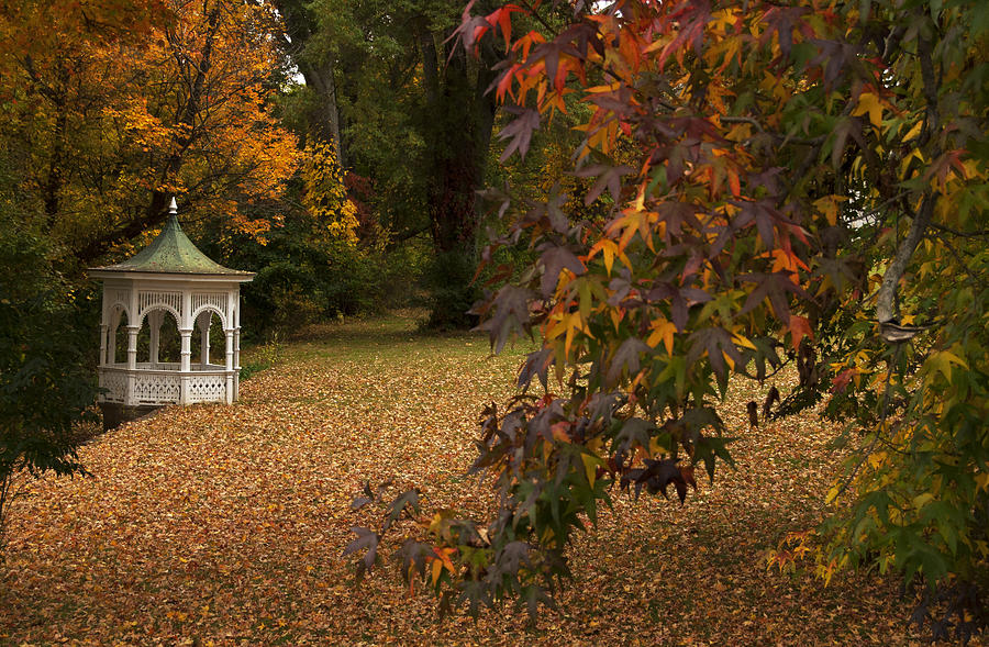 A Washington Crossing Autumn Photograph by Elsa Santoro