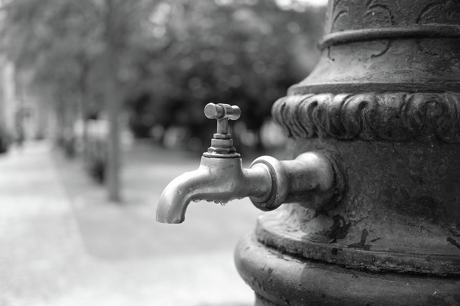 A Water Tap In The Park Photograph