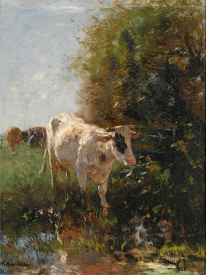 A watering cow Painting by Willem Maris