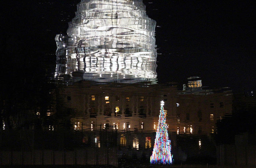 A Watery Reflection Of The Capitol Dome And The Capitol Christmas Tree 2015 Photograph by Cora Wandel