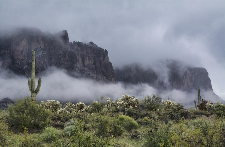 Nature Photograph - A Wave of Fog on the Superstitions  by Saija Lehtonen
