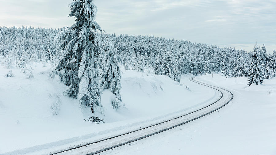 A Way In The Magic Winter Wonderland Photograph by Andreas Levi
