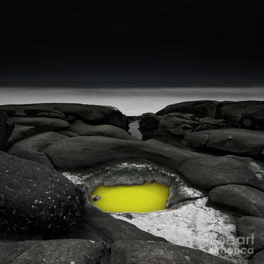 A Weird Tide Pool Photograph by Masako Metz