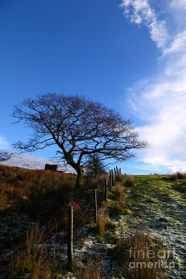 A Welsh Winter Morning Photograph by James Brunker