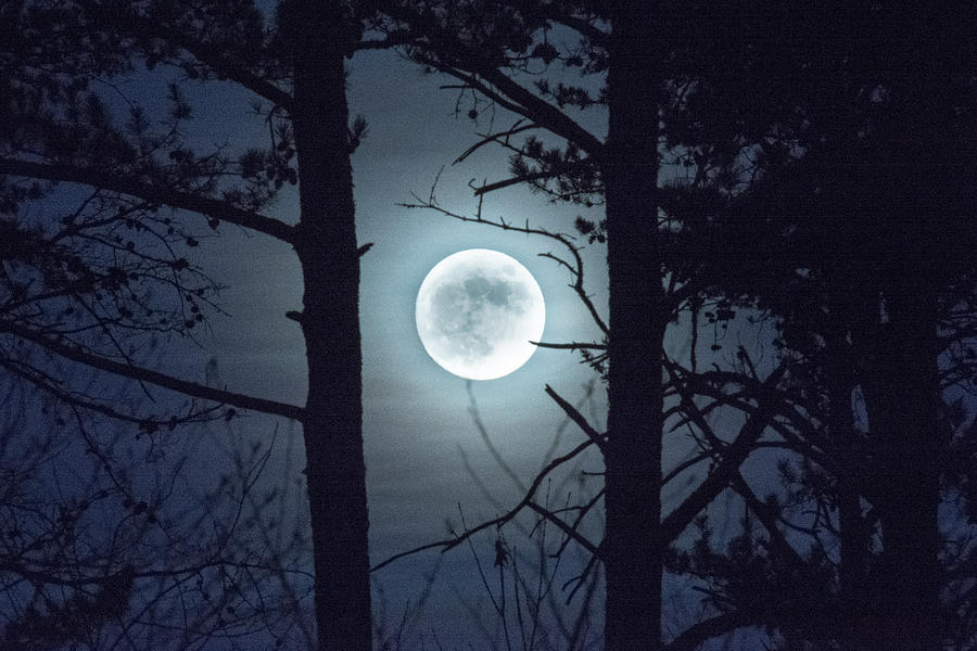 A Western North Carolina Moon Photograph by Roger Downes | Fine Art America