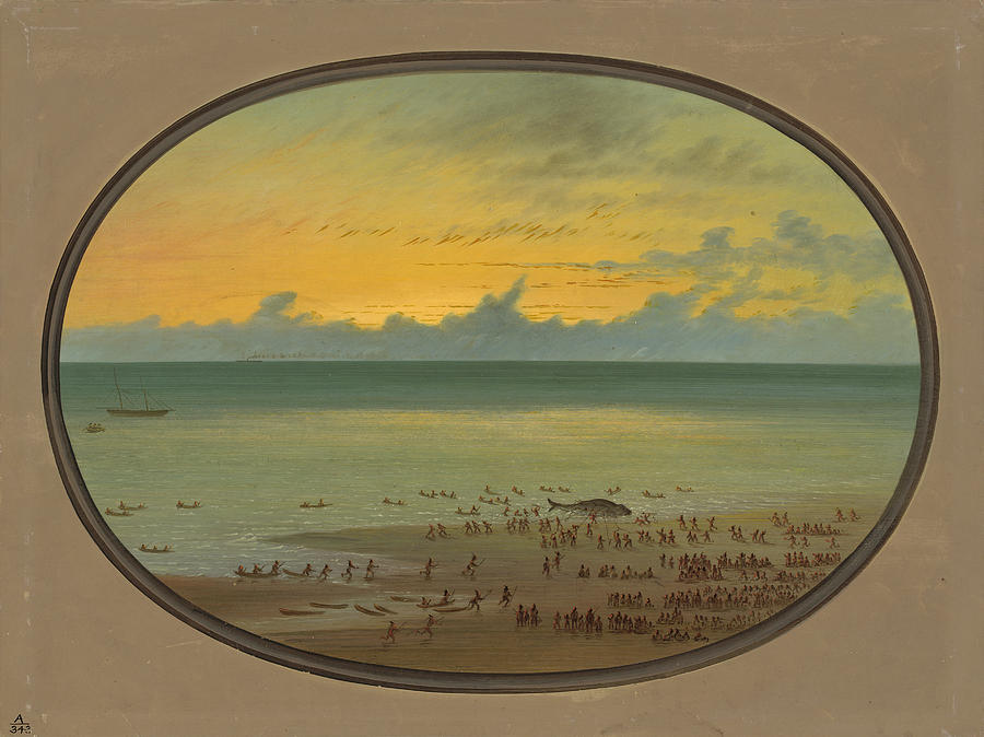 A Whale Ashore. Klahoquat Painting by George Catlin