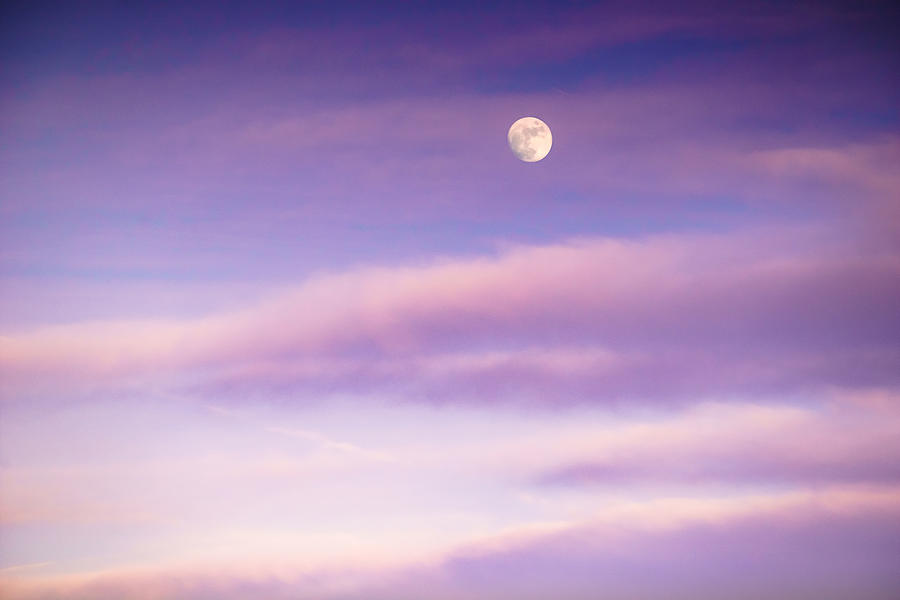 Sunset Photograph - A White Moon in Twilight by Ellie Teramoto