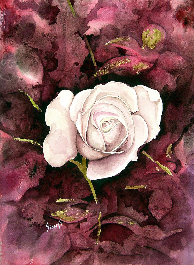 A White Rose Painting by Sam Sidders