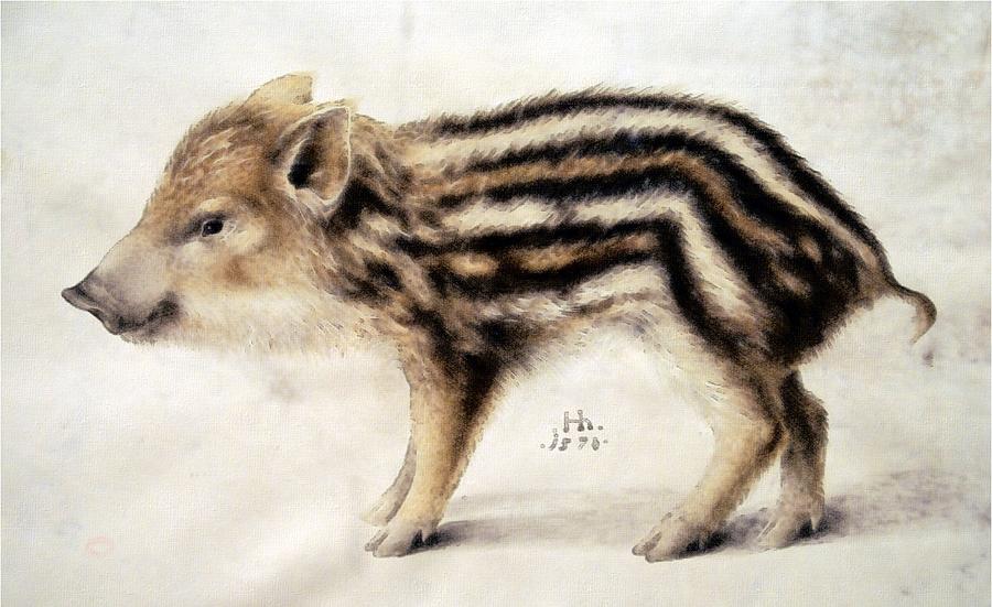 A Wild Boar Piglet Painting by Hans Hoffmann