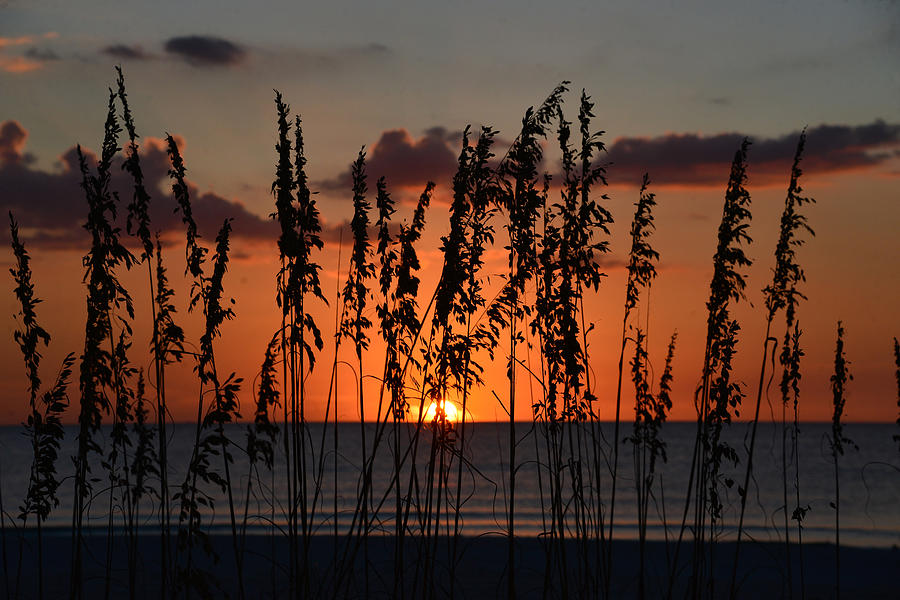 A Wild Florida Sunset Photograph by David Lee Thompson