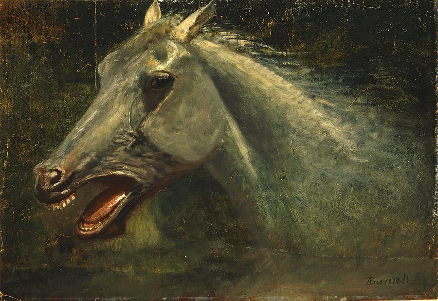 A Wild Stallion Painting by Albert Bierstadt