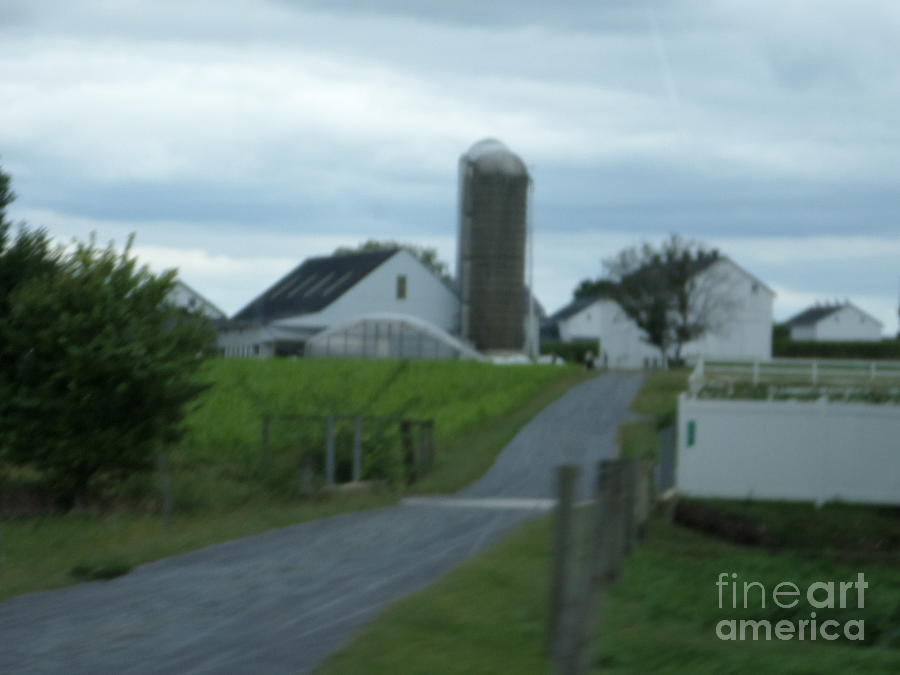 A Winding Farm Lane Photograph by Christine Clark