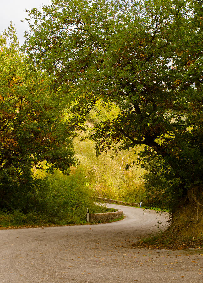 A winding road Photograph by AM FineArtPrints