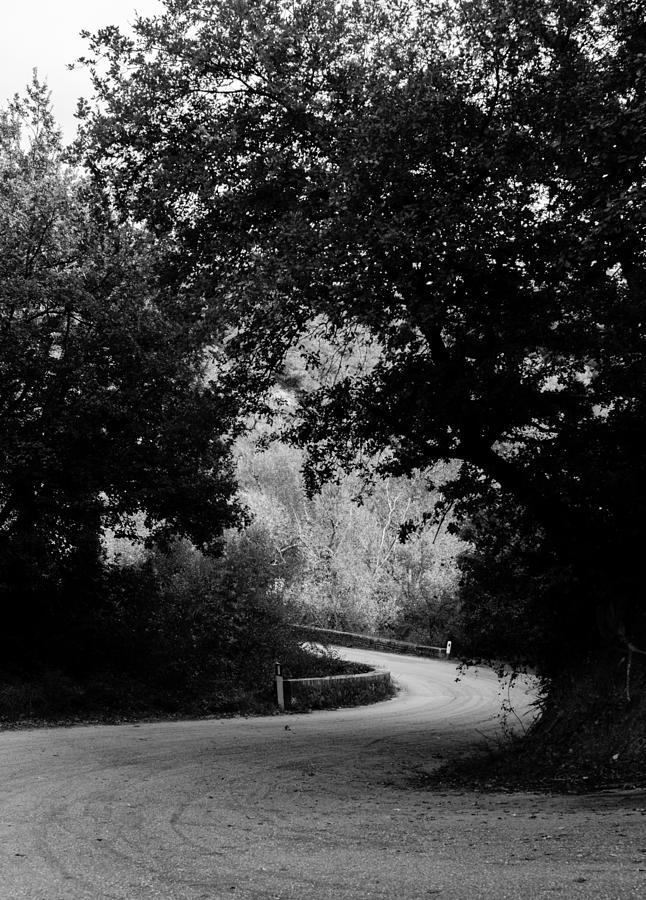 A winding road BW Photograph by AM FineArtPrints