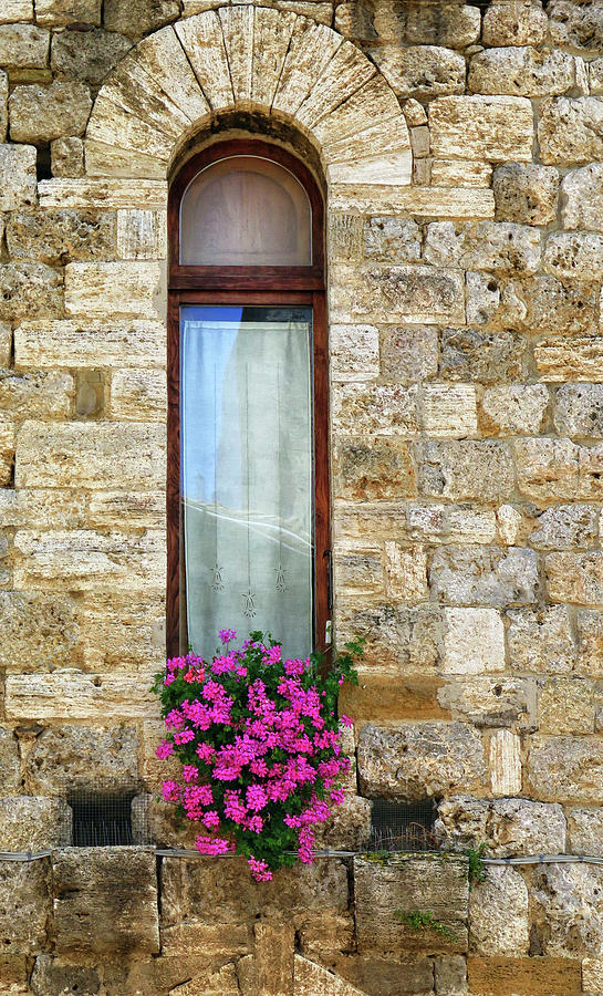 A Window In Florence Photograph by Dave Mills