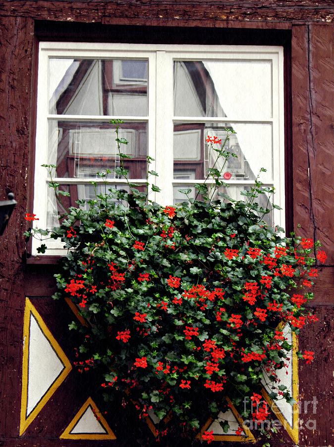 A Window in Mainz 4 Photograph by Sarah Loft