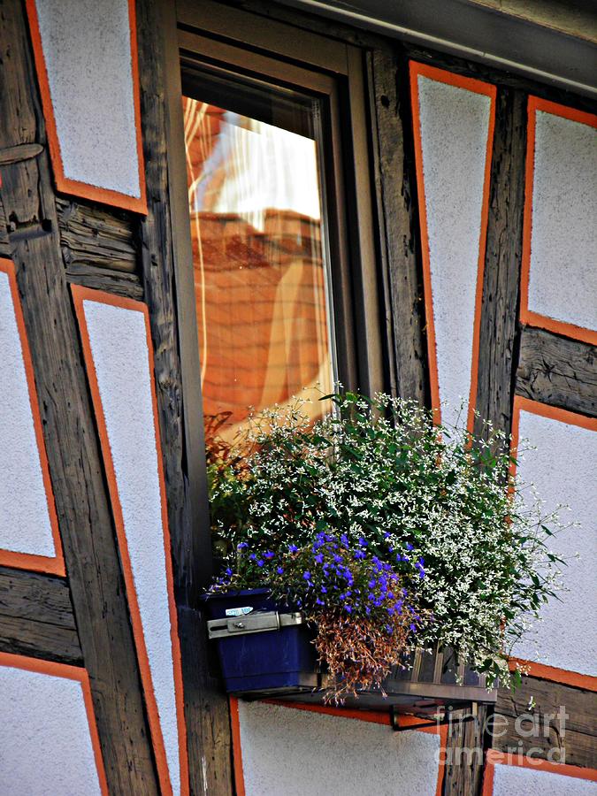 A Window in Schierstein 10 Photograph by Sarah Loft