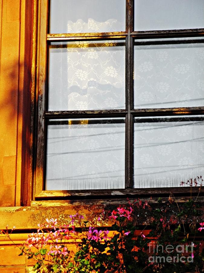 A Window in Schierstein 15 Photograph by Sarah Loft