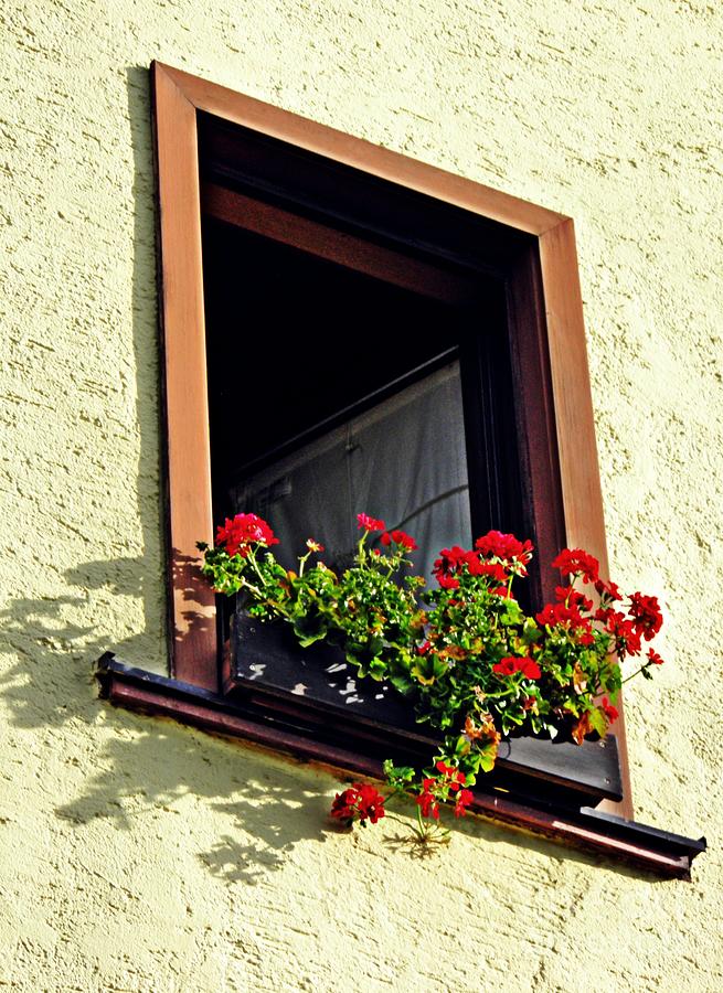 Architecture Photograph - A Window in Schierstein 17 by Sarah Loft