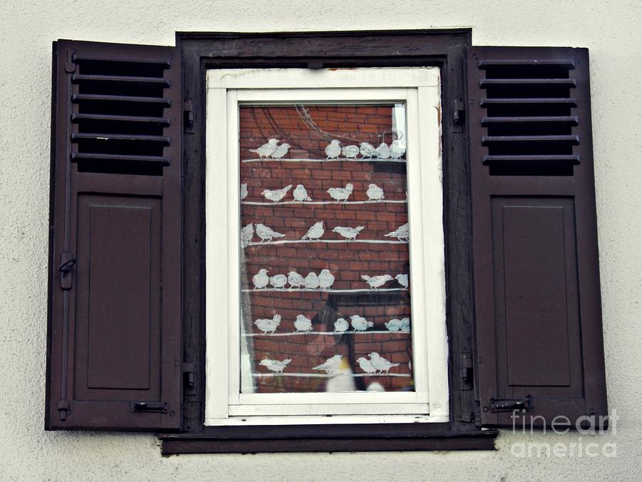 A Window in Schierstein 20 Photograph by Sarah Loft