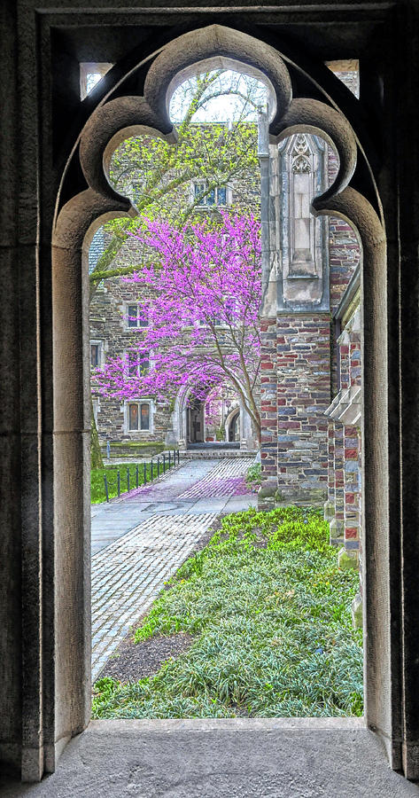 A Window To Spring At Princeton University Photograph by Dave Mills