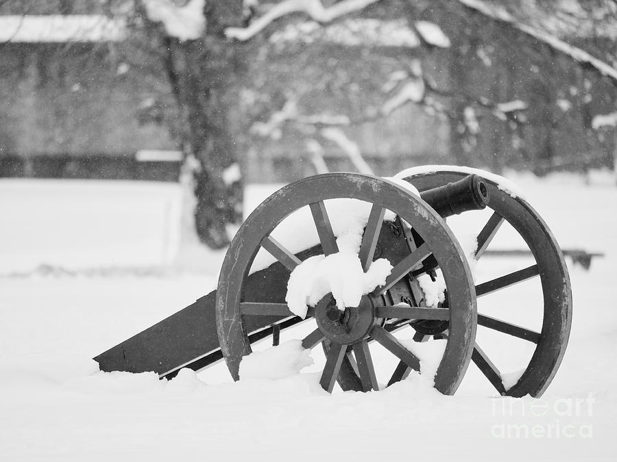 A Winter Canon Photograph by Rachel Morrison