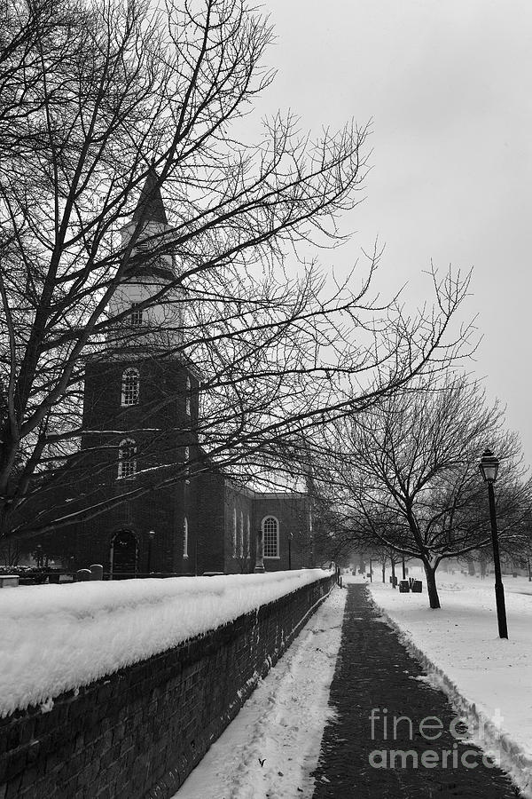 A Winter Day Photograph by Rachel Morrison