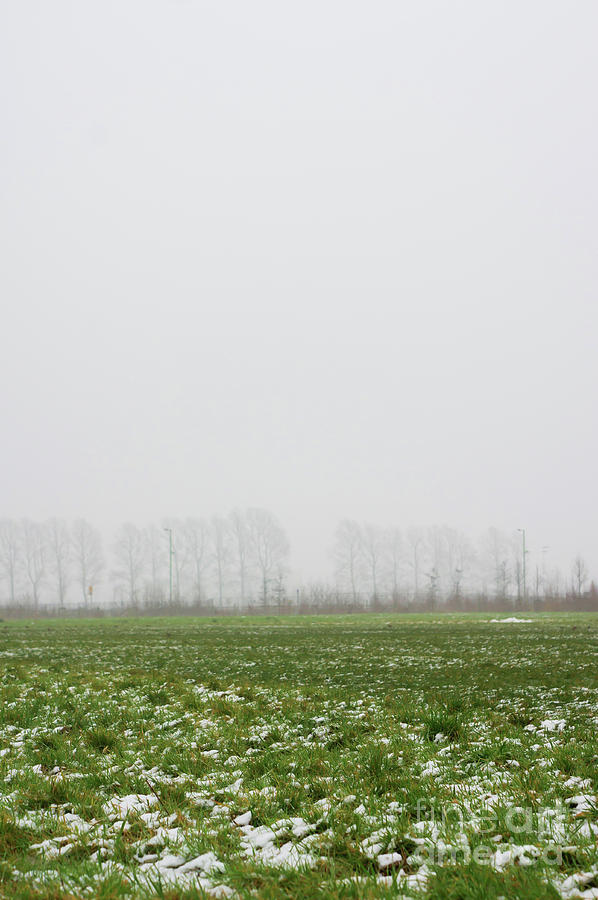 A winter field Photograph by Tom Gowanlock