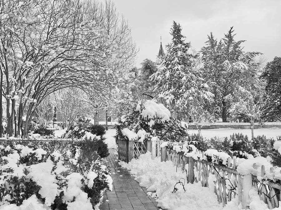 George Wythe House Winter Garden Photograph by Rachel Morrison