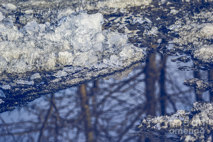 A Winter Reflection Photograph