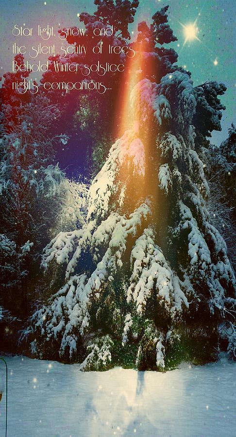 A Winter Solstice Nights Dream Digital Art by Pamela Smale Williams