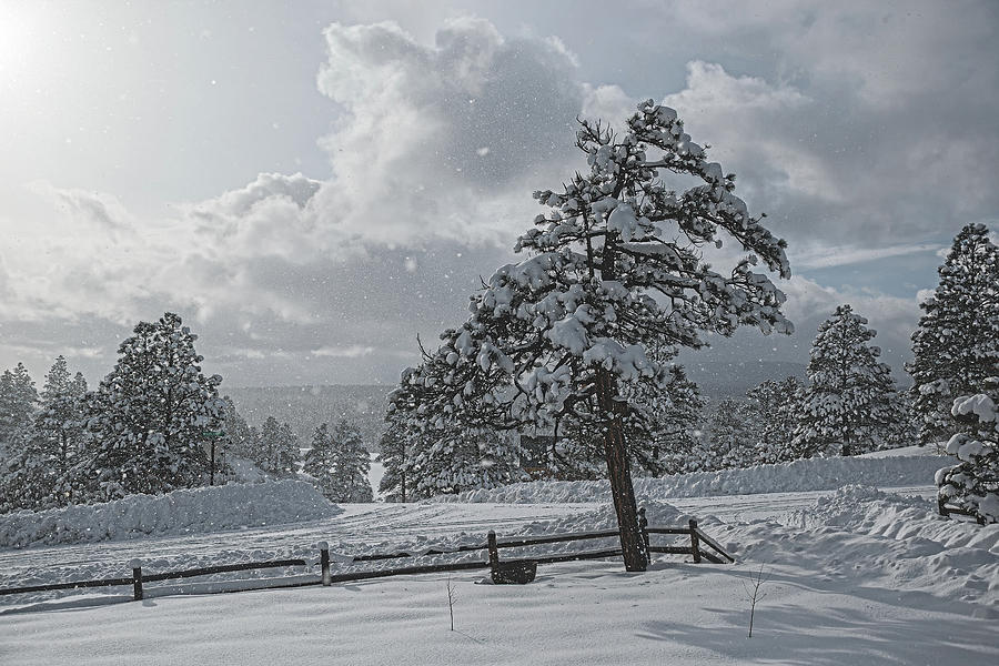 A Winter Storm in Pagosa by Jason Coward A Winter Storm in Pagosa by Jason Coward