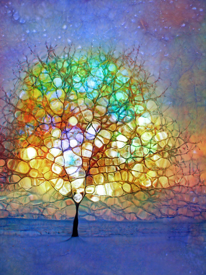 A Winter Tree Ballad Photograph by Tara Turner