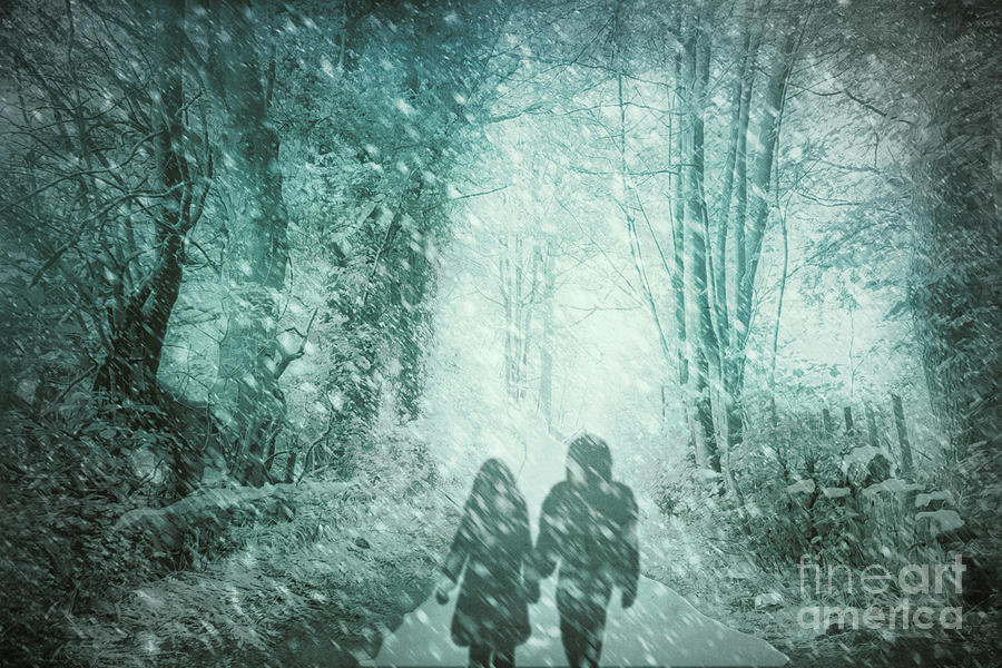 A Winter Walk In Blue Photograph