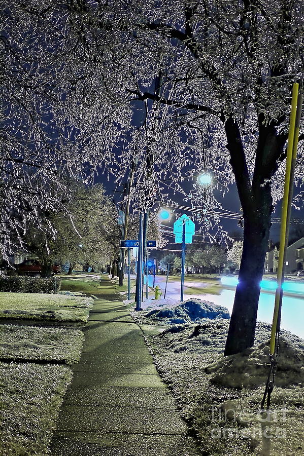 Tree Photograph - A Winter Walk in Ice Splendor by Daniel J Ruggiero