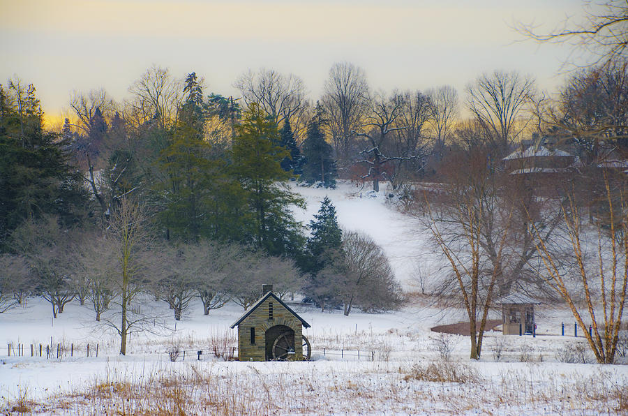 Philadelphia Photograph - A Winters Day at Morris Arboretum by Bill Cannon