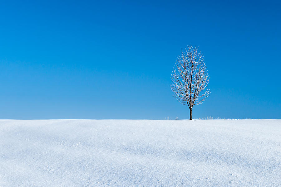 A Winters Landmark Photograph by Todd Klassy