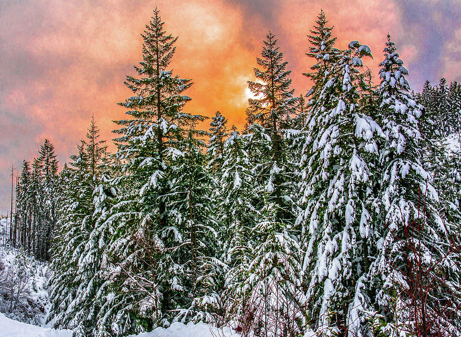 A winters sky set ablaze Photograph by Jason Brooks