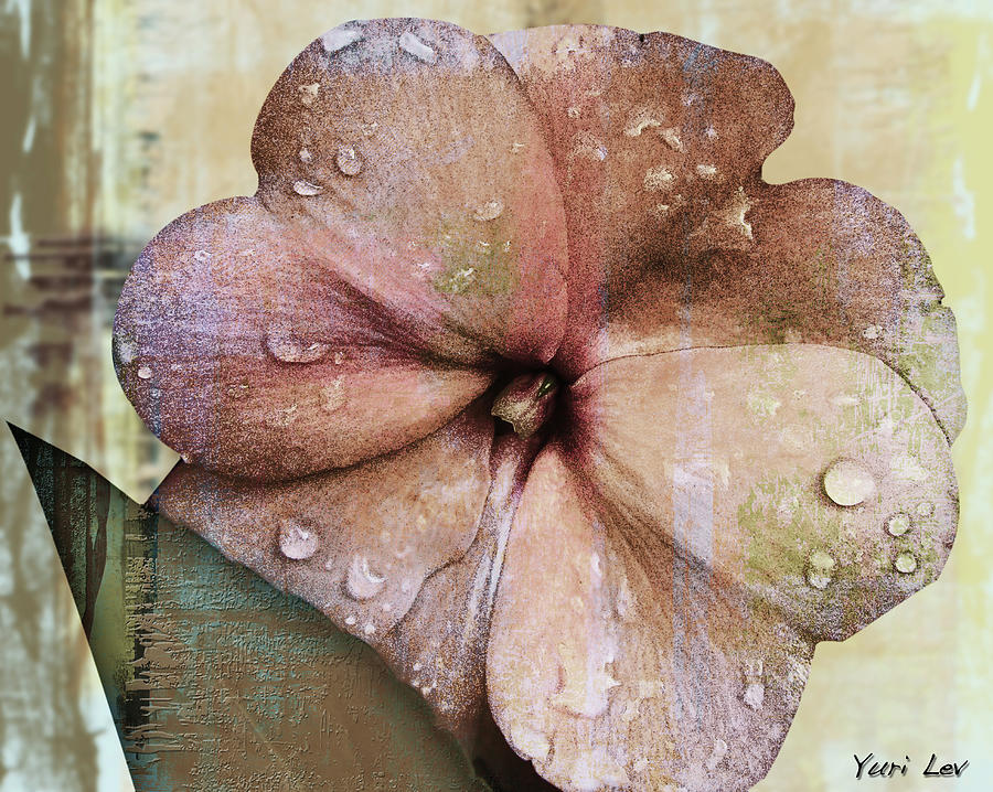 Petunia Abstract With Raindrops Digital Art by Yuri Lev