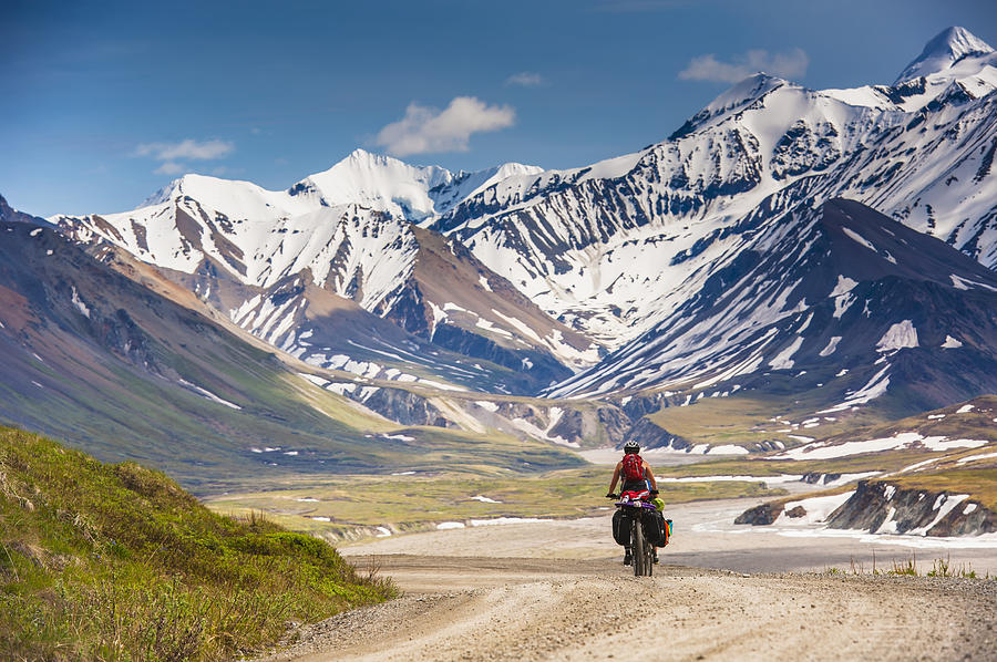 A Woman Bicycle Touring In Denali Photograph by Michael Jones