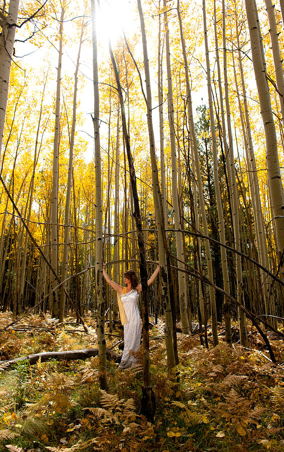 A woman in the aspen Photograph by Scott Sawyer