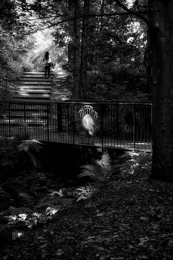 Nature Photograph - A woman walking her dog at Pittencrieff Park by Jeremy Lavender Photography