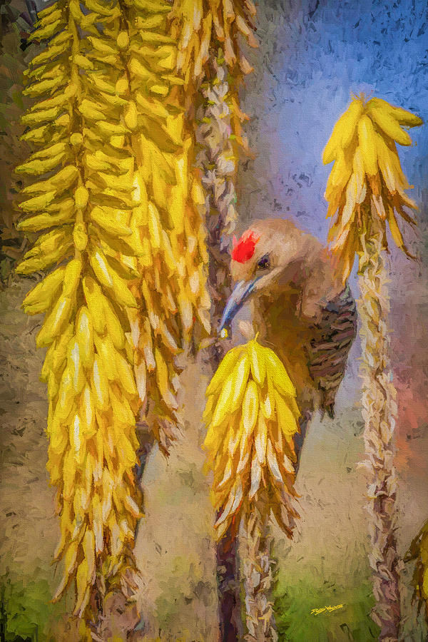 A Woodpecker In The Aloe Painting by David Wagner