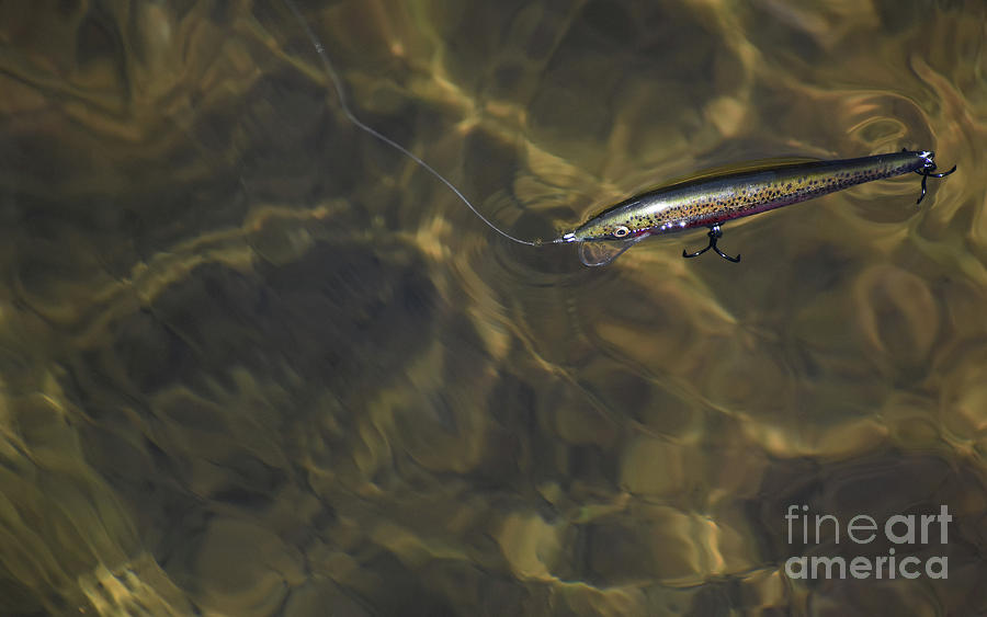 A Working Lure Photograph by Skip Willits