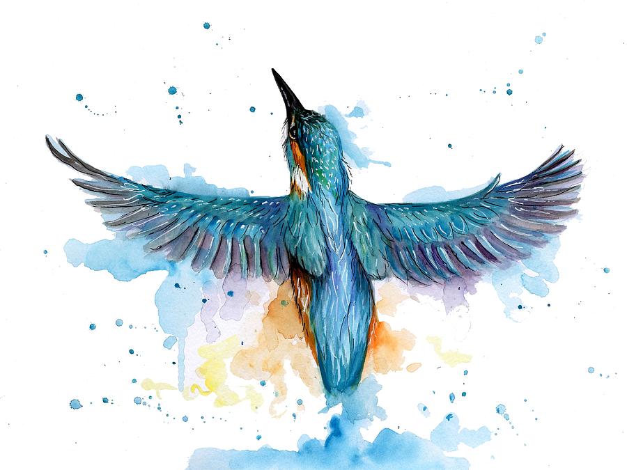 flying birds drawing color