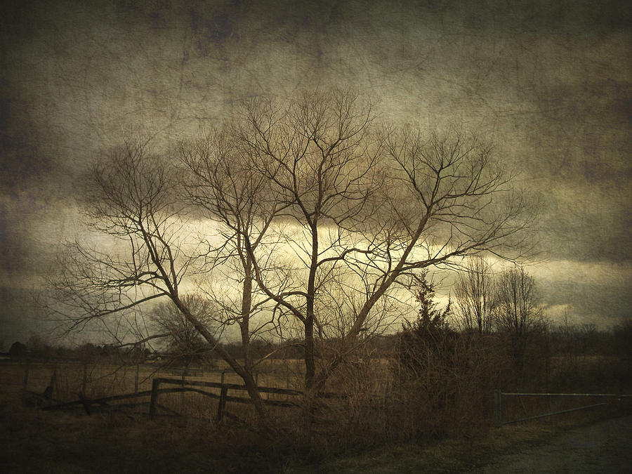 Spring Photograph - A Wyeth Landscape by Cynthia Lassiter