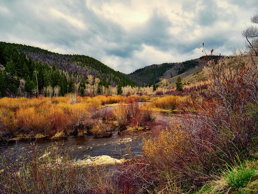A Wyoming Autumn Day Photograph by Mountain Dreams