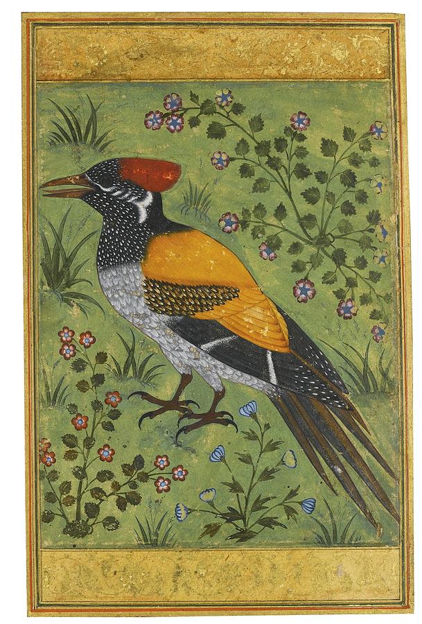 A yellow backed woodpecker Painting by Mughal