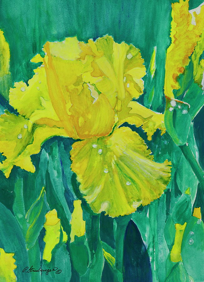 A Yellow Iris Painting by Patty Strubinger - Fine Art America