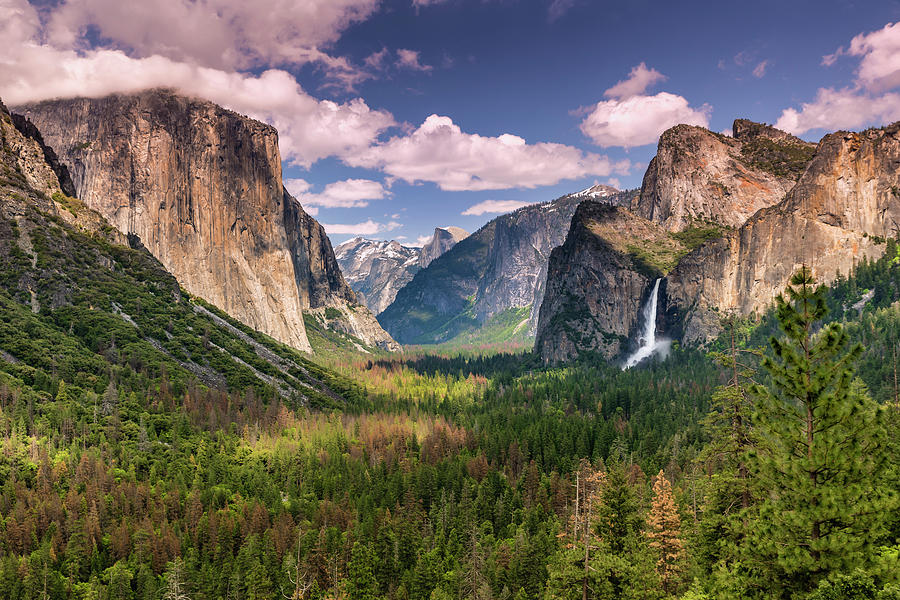 A Yosemite Day in Spring Photograph by Doug Holck